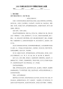 2023年湖北省武汉市中考模拟压轴语文试题（含解析）