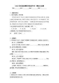 2023年河南省濮阳市范县中考一模语文试题（含解析）