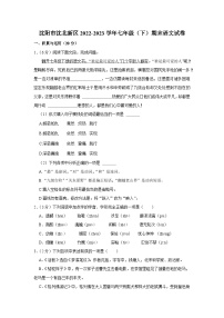 辽宁省沈阳市沈北新区2022-2023学年七年级下学期期末语文试卷