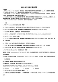 2023届广东省深圳市龙岗区大鹏新区华侨中学中考适应性考试语文试题含解析