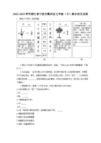 2022-2023学年浙江省宁波市鄞州区七年级（下）期末语文试卷（含答案解析）