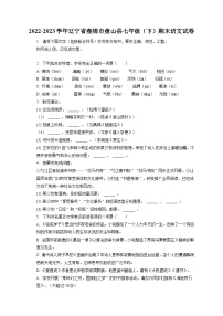 2022-2023学年辽宁省盘锦市盘山县七年级（下）期末语文试卷（含答案解析）