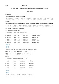 2022年四川省眉山市中考语文真题（解析版）