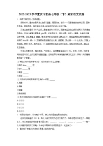 2022-2023学年重庆市忠县七年级（下）期末语文试卷（含答案解析）