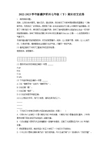 2022-2023学年新疆伊犁州七年级（下）期末语文试卷（含答案解析）