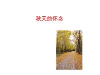 初中语文人教部编版七年级上册秋天的怀念图片课件ppt