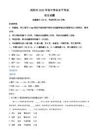 2023年辽宁省沈阳市中考语文真题（解析版）