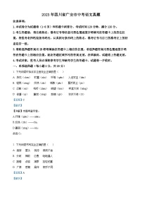 2023年四川省广安市中考语文真题（解析版）