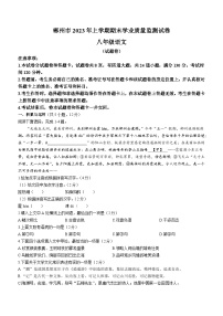 湖南省郴州市2022-2023学年八年级下学期期末语文试题