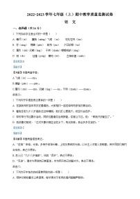 四川省绵阳市涪城区2022-2023学年七年级上学期期中语文试题（解析版）