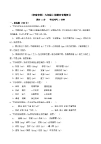 （字音字形）统编版九年级上册期末专题复习（原卷版+解析版）