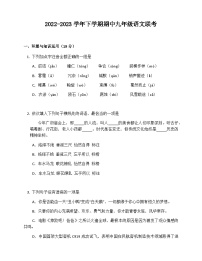 湖南省岳阳市岳阳县步仙凤凰中学等三校2022-2023学年九年级下学期期中语文试题（含答案）