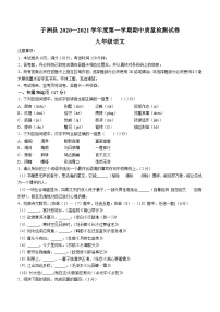 陕西省榆林市子洲县2020-2021学年九年级上学期期中语文试题