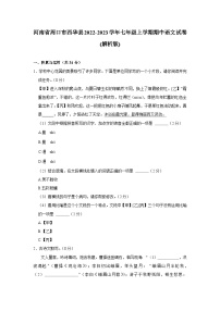 河南省周口市西华县2022-2023学年七年级上学期期中语文试卷