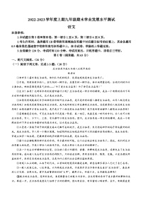 四川省泸州市龙马潭区2022-2023学年九年级上学期期末语文试题