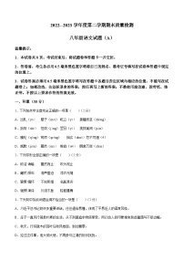 山东省滨州市滨城区2022-2023学年八年级下学期期末语文试题