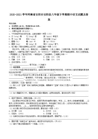 2020-2021学年河南省安阳市安阳县八年级下学期期中语文试题及答案