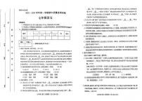 河南省洛阳市瀍河回族区2023-2024学年七年级上学期11月期中语文试题