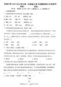 天津市西青区当城中学2023-2024学年九年级上学期期中考试语文试题