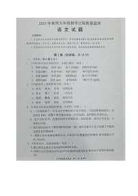 四川省绵阳市江油市2023-2024学年九年级上学期期中考试语文试题