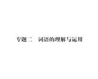 人教版九年级语文上期末专题复习专题2词语的理解与运用 课时训练ppt