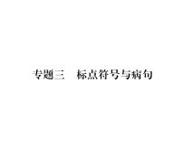 人教版九年级语文上期末专题复习专题3标点符号与病句 课时训练ppt