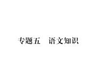 人教版九年级语文上期末专题复习专题5语文知识 课时训练ppt