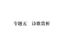 人教版九年级语文下期末专题复习专题5诗歌赏析课时训练ppt