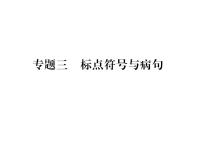 人教版八年级语文上期末专题复习专题3标点符号与病句课时训练ppt