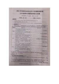 湖北省知名中小学教联体联盟2023-2024学年九年级上学期期中考试语文试题