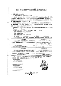 河南省南阳市内乡县2023-2024学年七年级上学期11月期中语文试题
