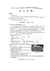 河北省石家庄市赵县2023-2024学年九年级上学期11月期中语文试题