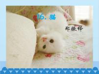 初中语文人教部编版七年级上册猫课前预习课件ppt