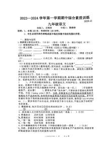 广东省惠州市惠台学校2023-2024学年九年级上学期期中考试语文试题