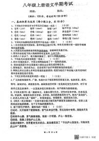四川省内江市市中区全安镇初级中学校2023-2024学年八年级上学期11月期中语文试题