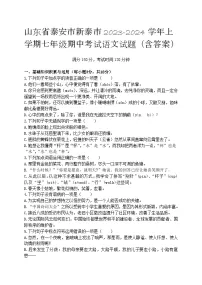 山东省泰安市新泰市2023-2024学年七年级上学期期中考试语文试题