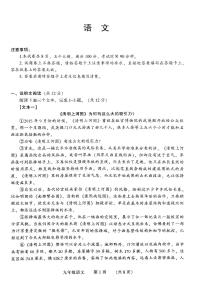 河南省濮阳市2023-2024学年九年级上学期11月期中拔尖培优语文试题