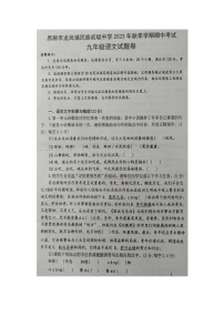 湖北省恩施市龙凤镇民族初级中学2023-2024学年九年级上学期期中考试语文试题