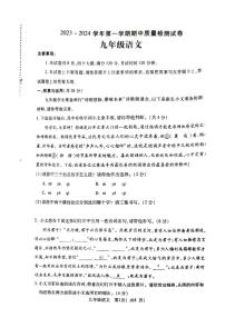 河南省平顶山市叶县2023-2024学年九年级上学期11月期中考试语文试题