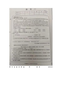 河南省周口市西华县青华中英文学校2023-2024学年七年级上学期10月月考语文试题