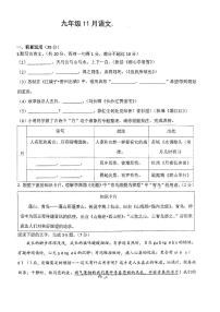 广东省中山市教学共进联盟2023-2024学年九年级上学期11月月考语文试题