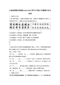 山西省晋城市阳城县2023-2024学年七年级上学期期中语文试题（含答案解析）