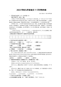 四川省巴中中学2023-2024学年九年级上学期11月学情问卷语文试题