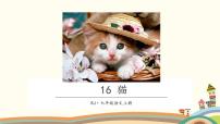 初中语文人教部编版七年级上册猫教学ppt课件