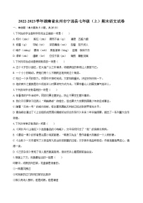 2022-2023学年湖南省永州市宁远县七年级（上）期末语文试卷（含答案解析）