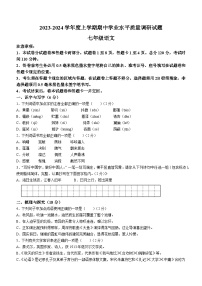 山东省临沂市河东区2023-2024学年七年级上学期期中考试语文试题