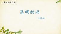 人教部编版八年级上册昆明的雨图片课件ppt