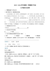 河南省商丘市夏邑县2023-2024学年九年级上学期期中语文试题（解析版）