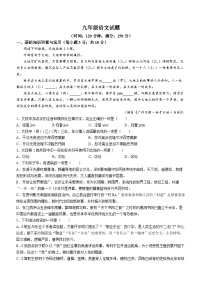 山东省淄博市沂源县2023-2024学年九年级上学期期中语文试题