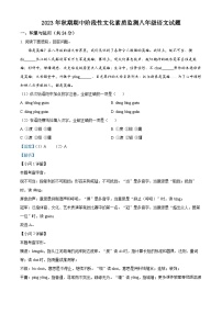 河南省南阳市唐河县2023-2024学年八年级上学期期中语文试题（解析版）